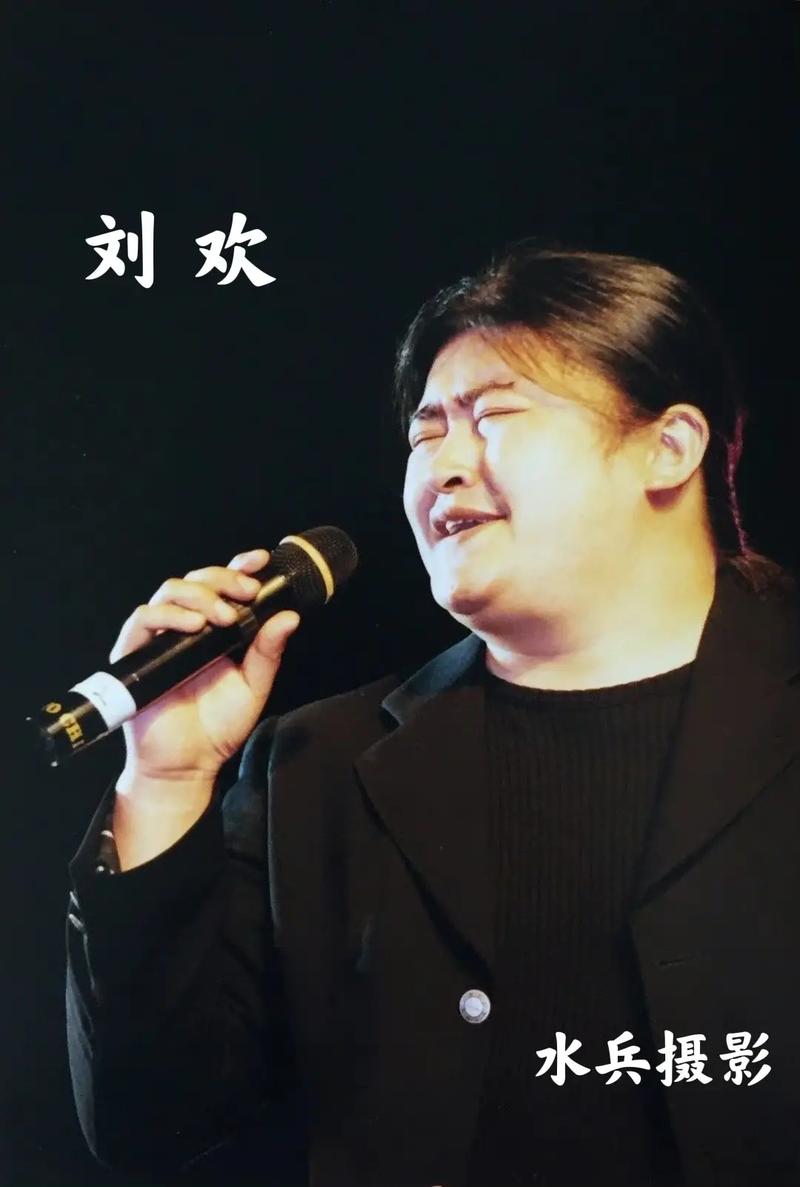 歌手刘欢